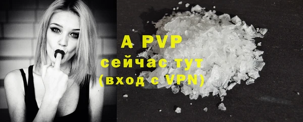 ECSTASY Белая Холуница