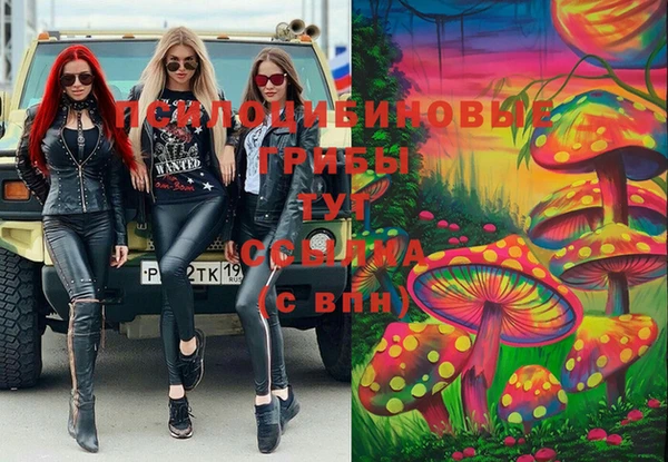 круглые Нягань