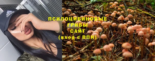 дурь Аркадак