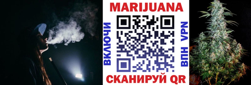 Каннабис сатива  Кущёвская 